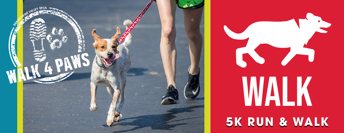 Brandywine Valley SPCA